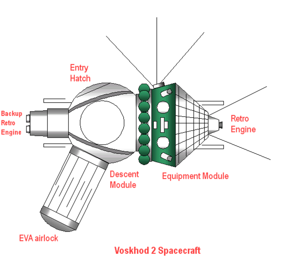 Diagram of Voskhod 2 (image: Reubenbarton/Wikipedia)