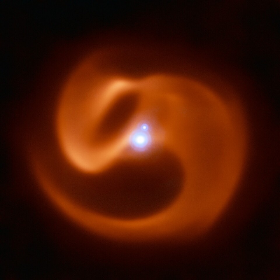 A composite near-infrared/thermal infrared image of the star Apep. The pinwheel-shaped cloud of dust and gas around it indicates it’s due to explode as a gamma ray burst in the future