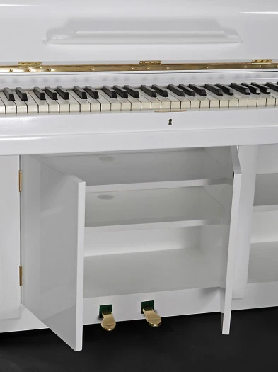 The Mediano has room for all your multimedia components