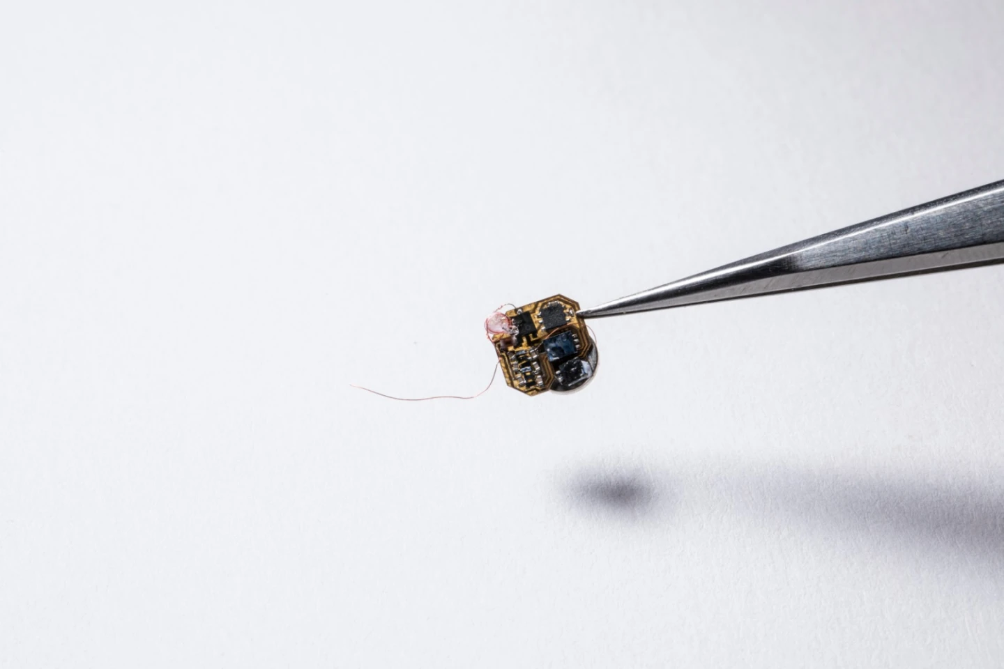 The electronic backpacks weigh just 102 milligrams, or about as much as seven grains of uncooked rice
