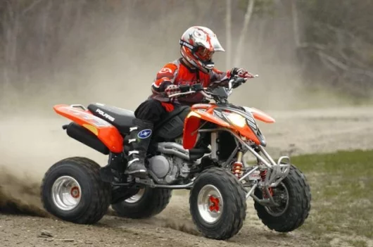 Troy Lee Predator
