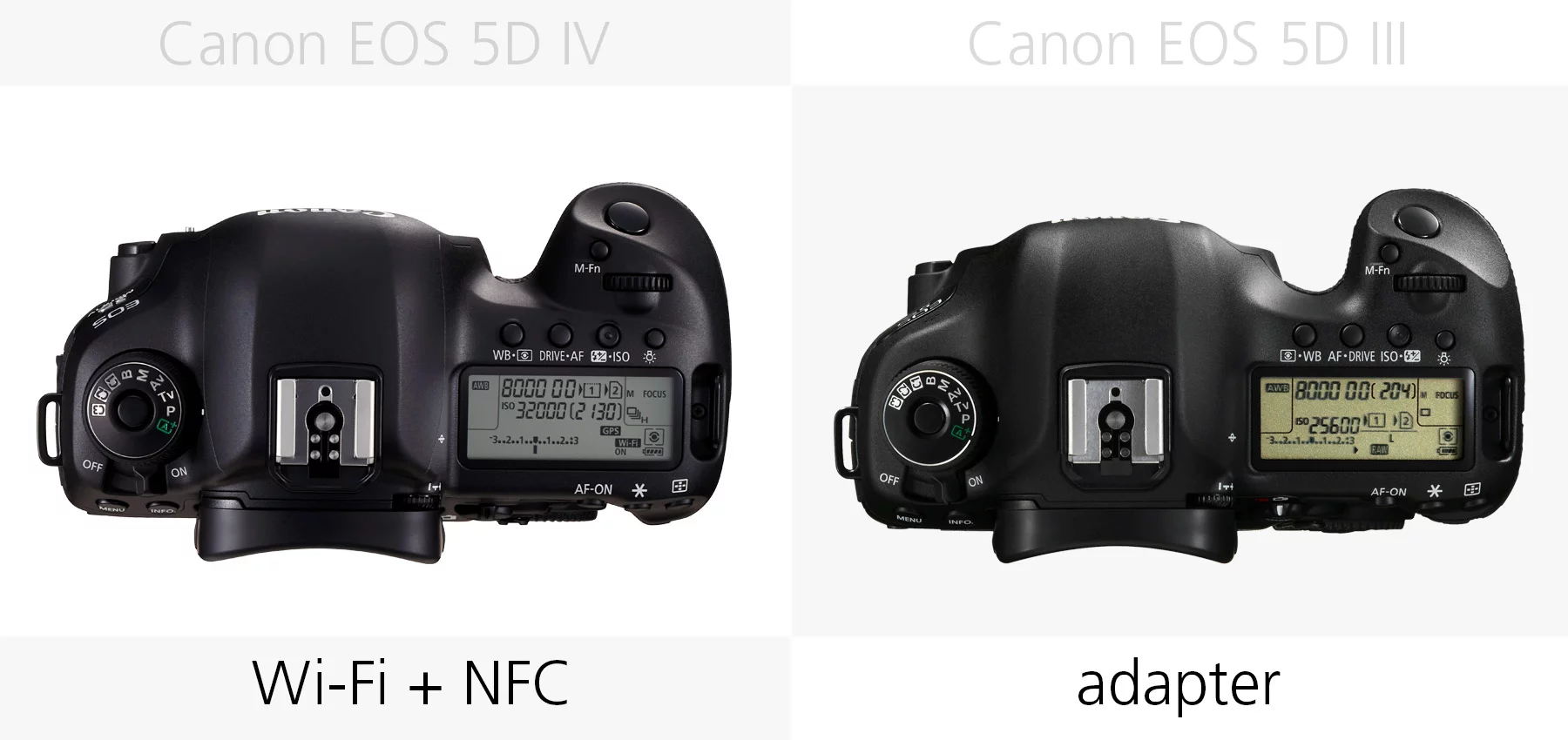 Wireless capabilities (Canon EOS 5D Mark IV and 5D Mark III)