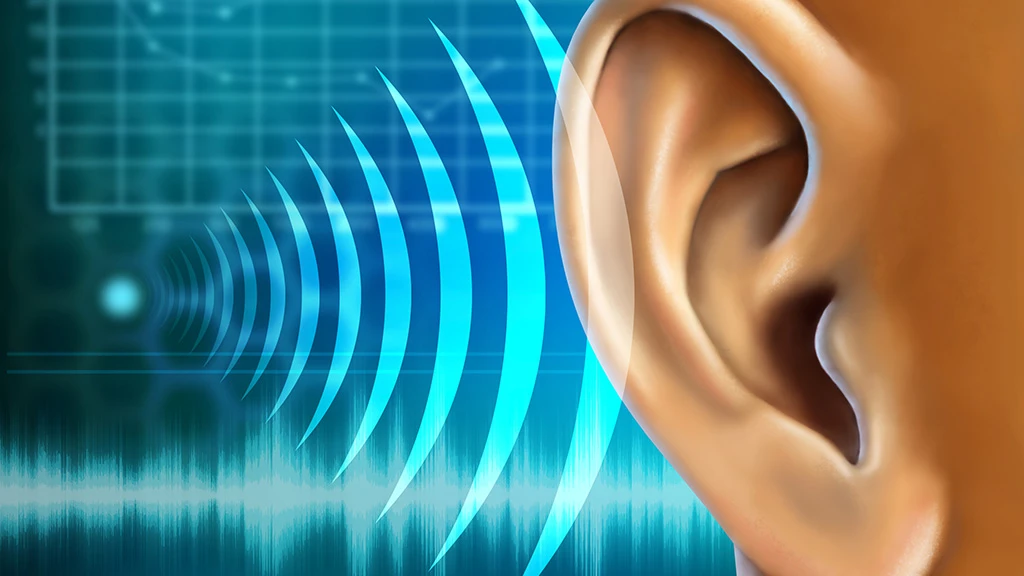 Researchers have regenerated auditory hair cells in adult mammals for the first time (Image: Shutterstock)