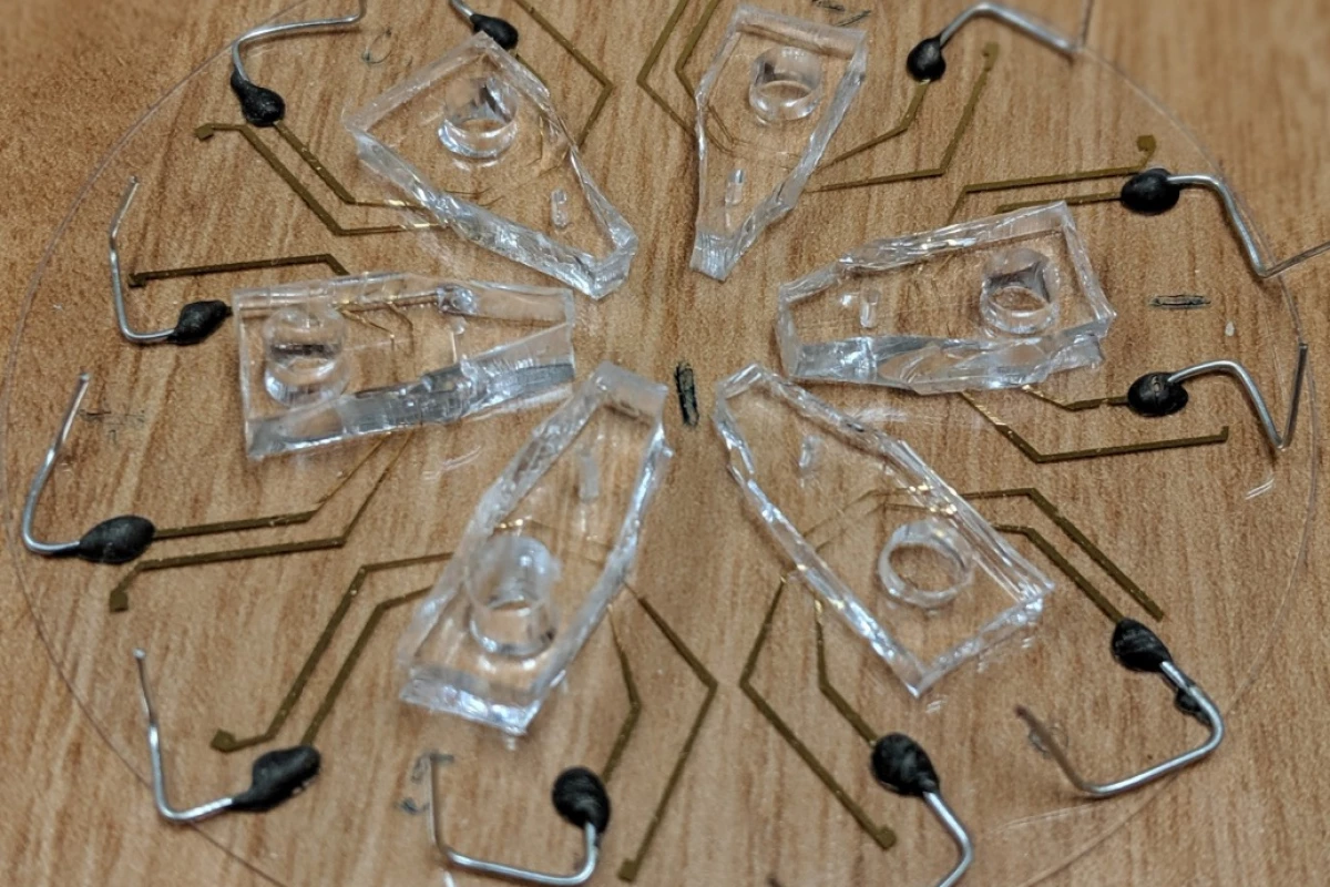 This image shows six devices (on a 3-inch-wide piece of glass) with biosensors to detect whether a cancer cell has responded to specific chemotherapy