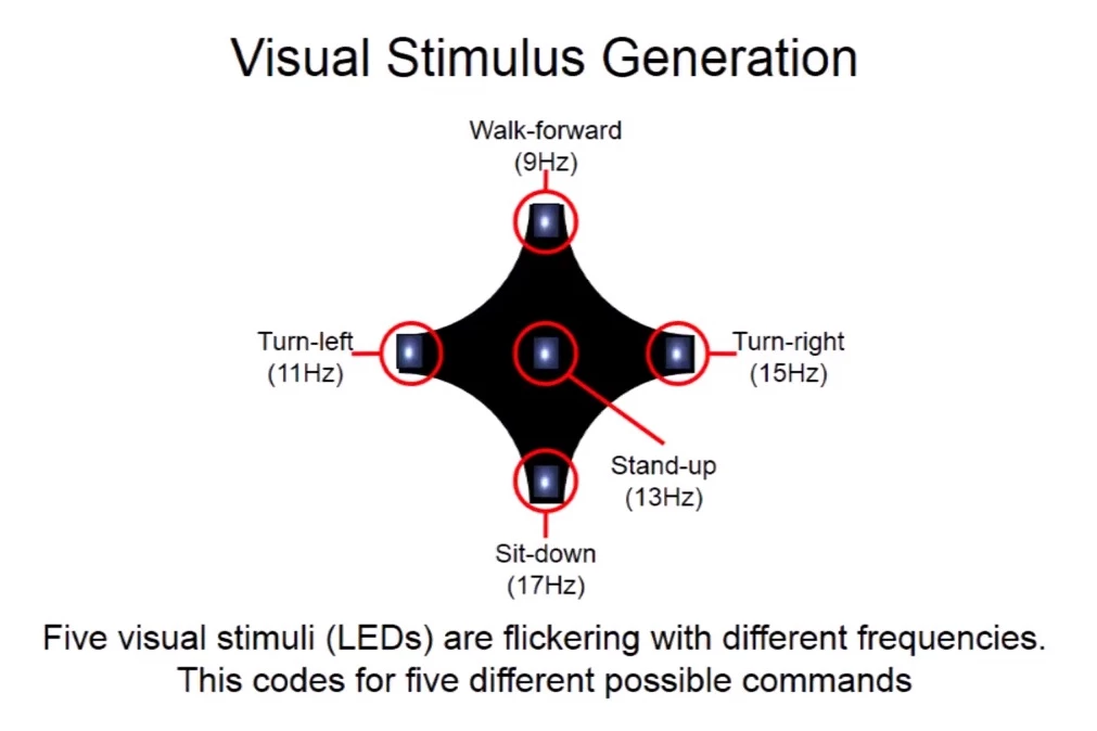 Staring at a specific LED generates different signals in the brain which are detected and interpreted to control the exoskeleton hands-free