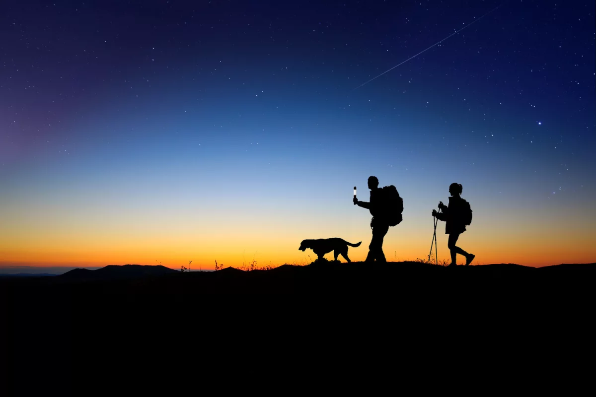 Zyntony Torch features a rugged, waterproof design