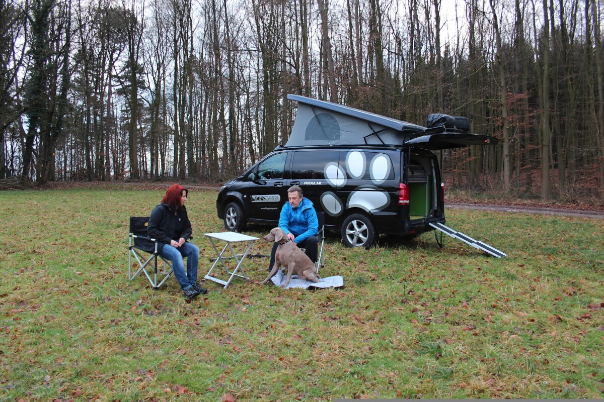 This modular camper van is one for the dogs (and their owners)