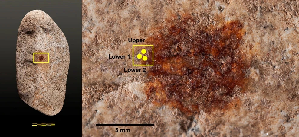 The three yellow dots show the area where specific samples were taken for analysis