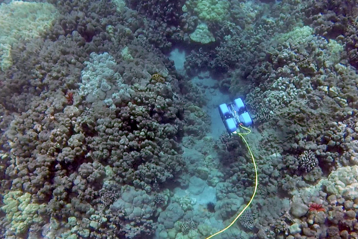 The BlueROV2 can descend to a depth of 100 m (328 ft)