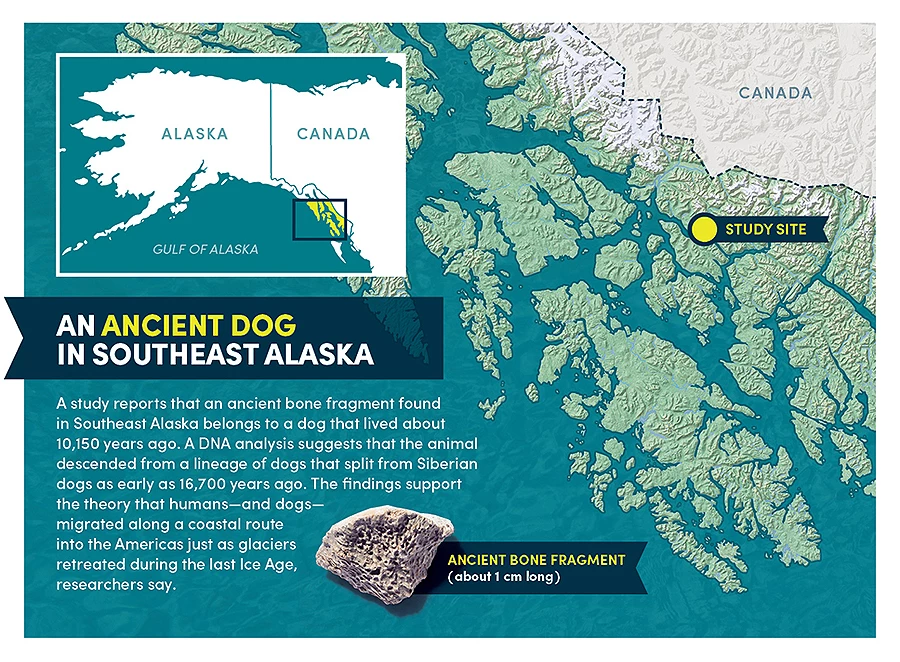 A map depicting the southeast Alaskan region where ancient dog bone fragment was found