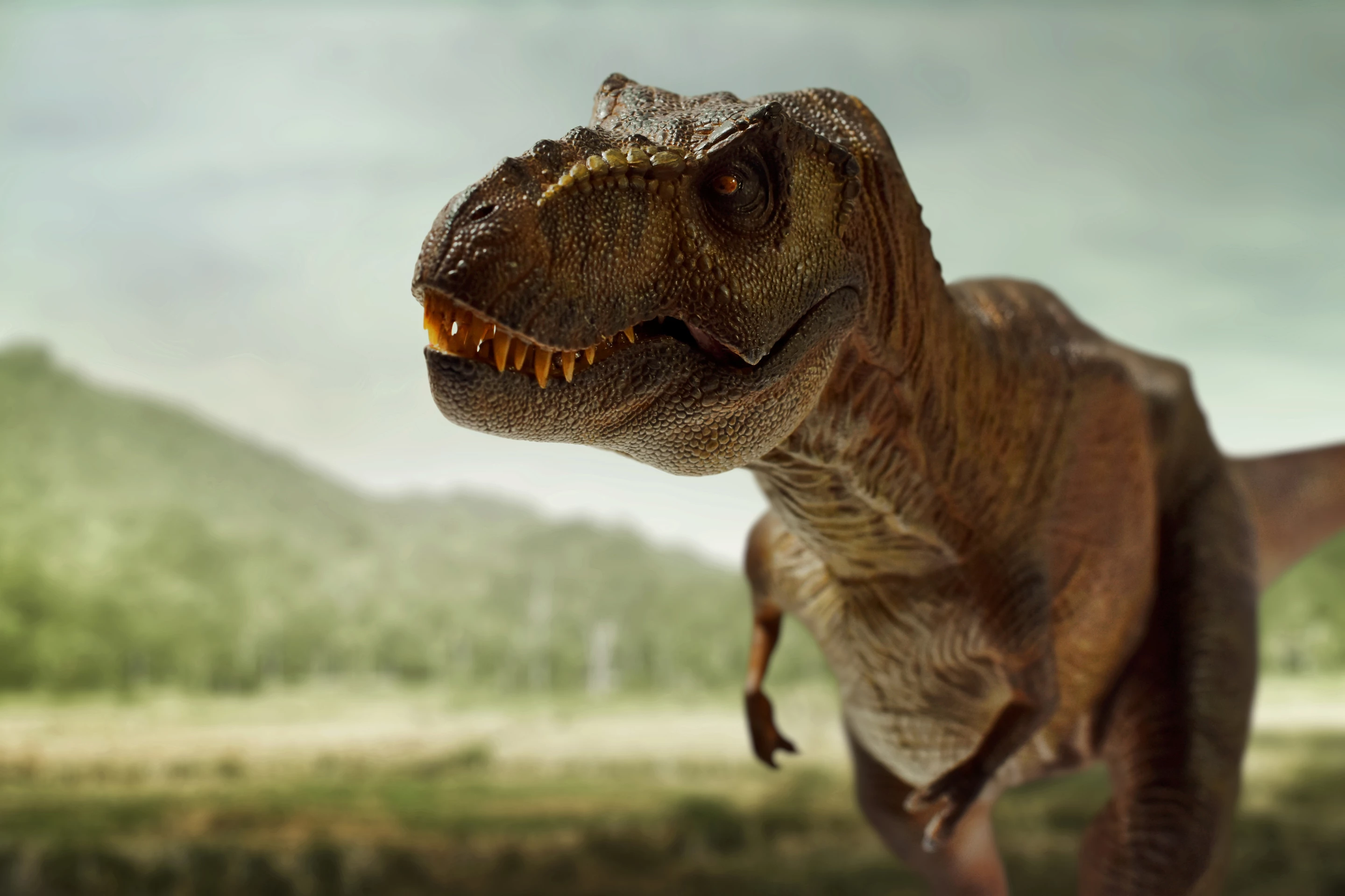 We still wouldn't call a T. rex not that clever to their face