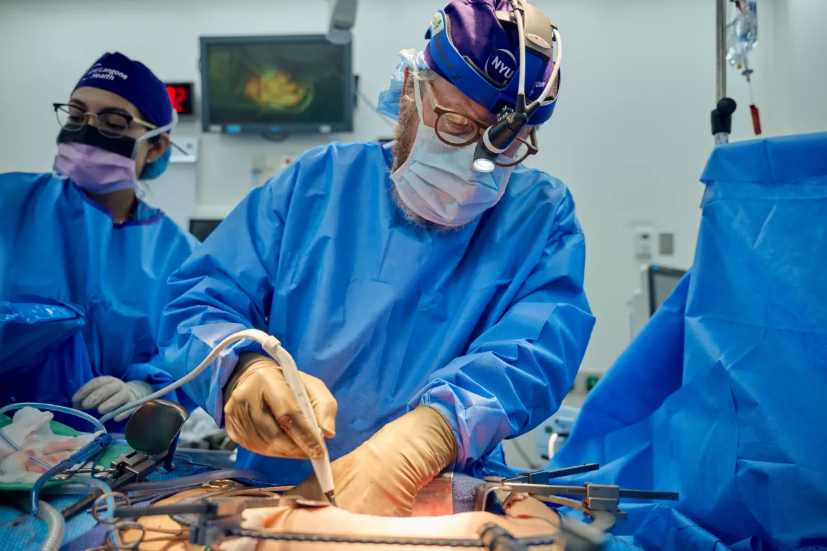 Doctor Montgomery performing the transplant of the pig kidney