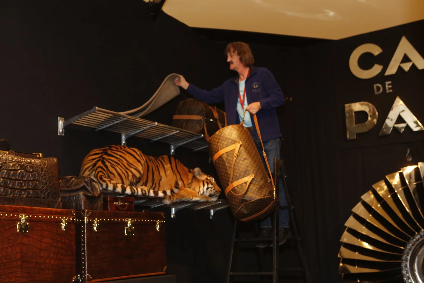 Something to delight everyone ... unless you're a tiger