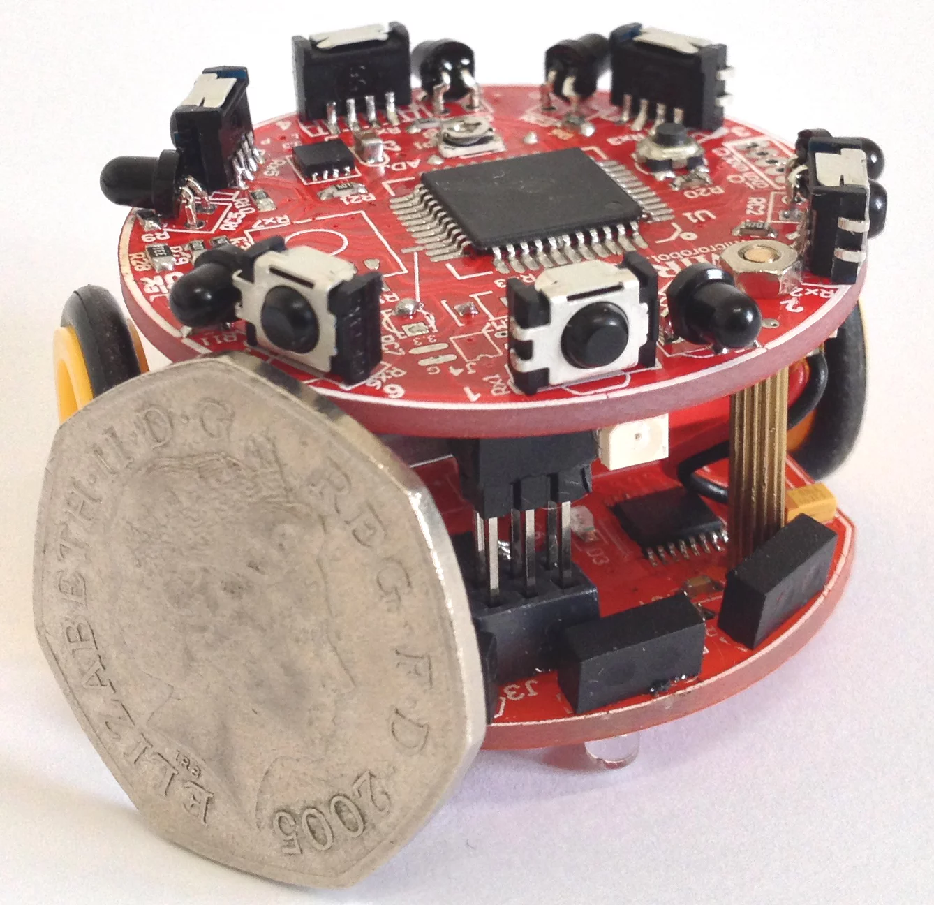 The diminutive Colias measures less than two inches across, and it sees in all directions (Photo: University of Lincoln)