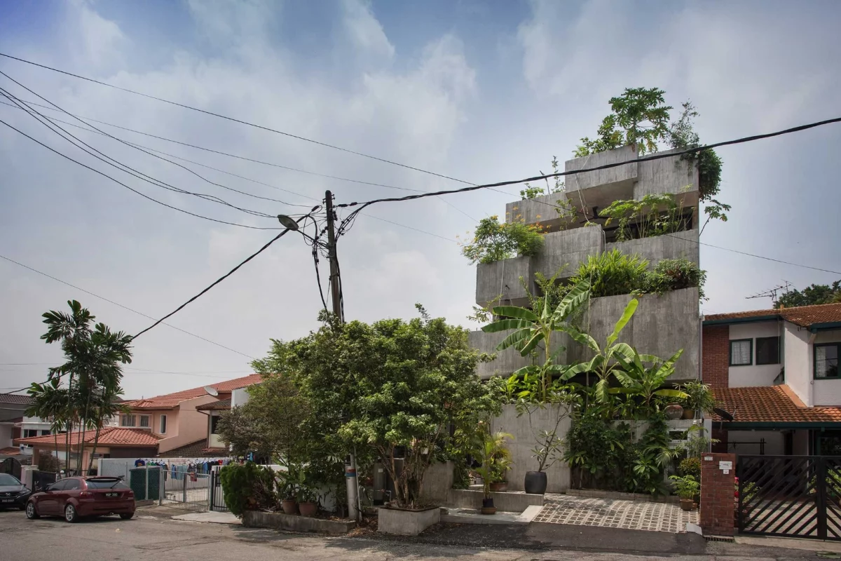 The Planter Box house was designed for a retired couple with a keen interest in gardening and growing their own food