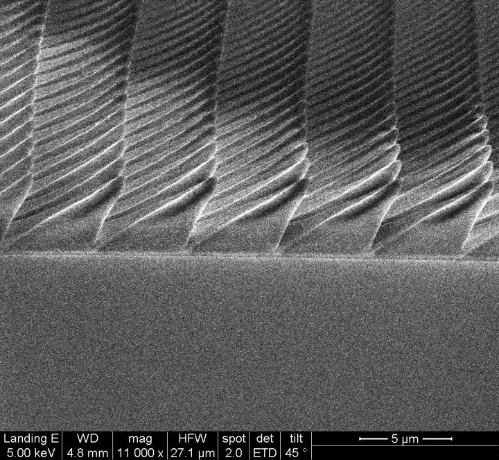 A scanning electron microscope image of the 3D-nanoprinted microstructures
