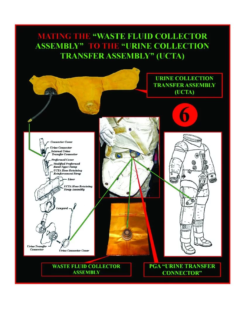 Urine collection system in context