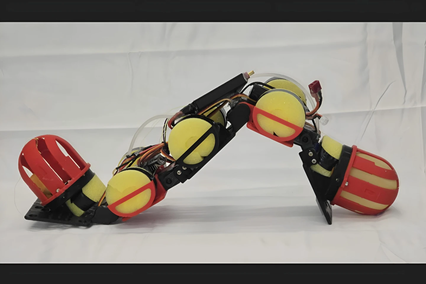 Water-pumping robot worms its way over rugged coastal terrain