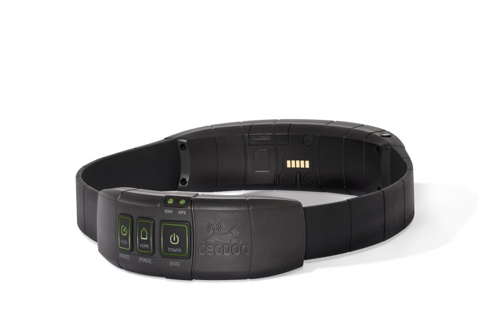 GEODOG collar