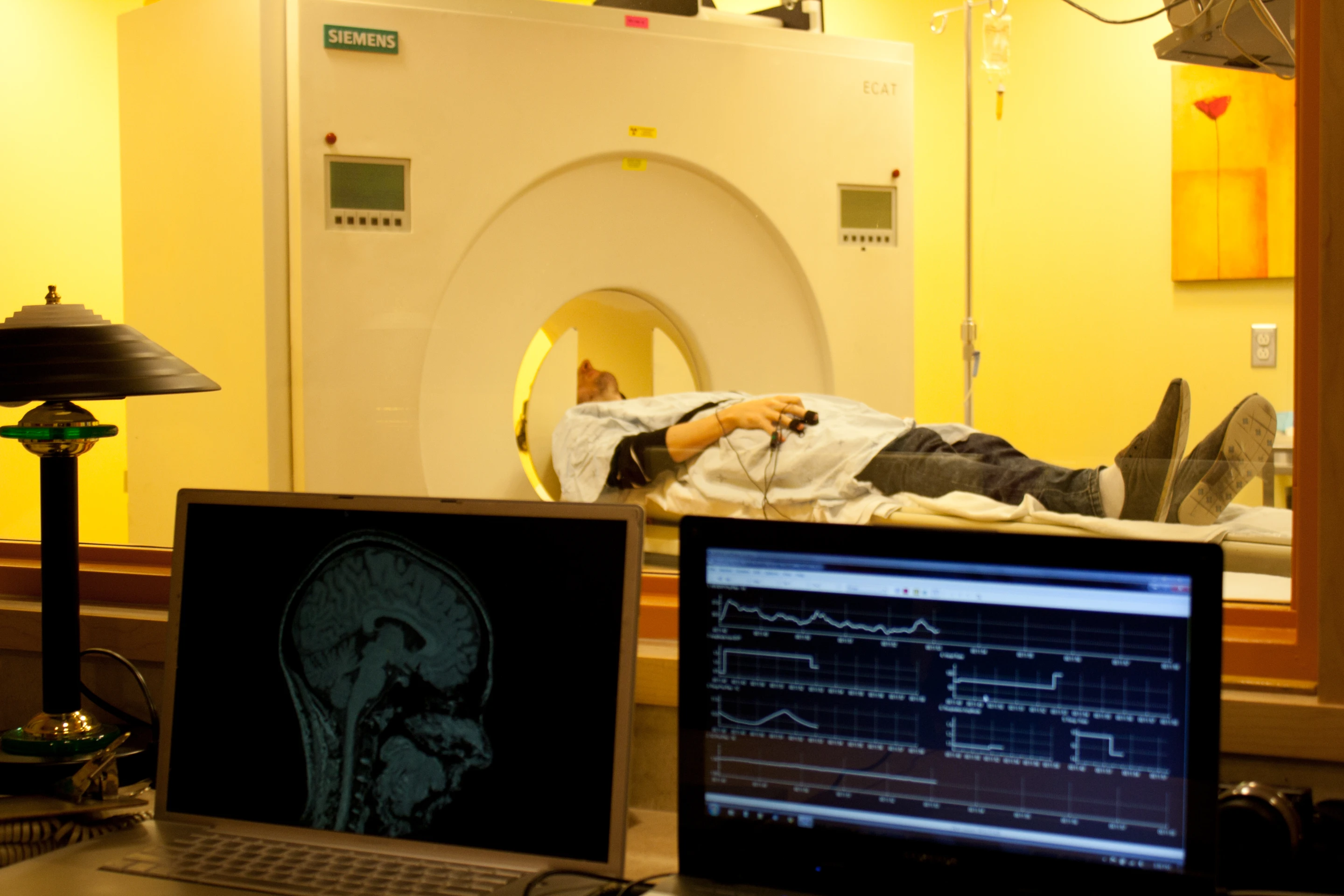 "Music is unique in the sense that we can measure all reward phases in real-time, as it progresses from baseline neutral to anticipation to peak pleasure all during scanning," says lead investigator Salimpoor