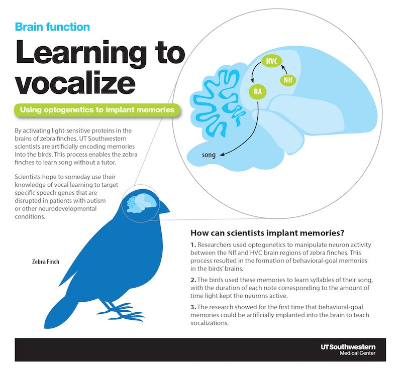An infographic explaining how the study worked