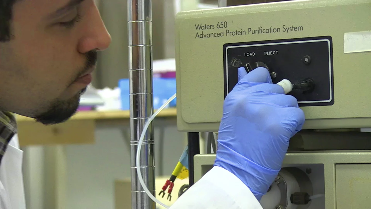 Purifying the protein