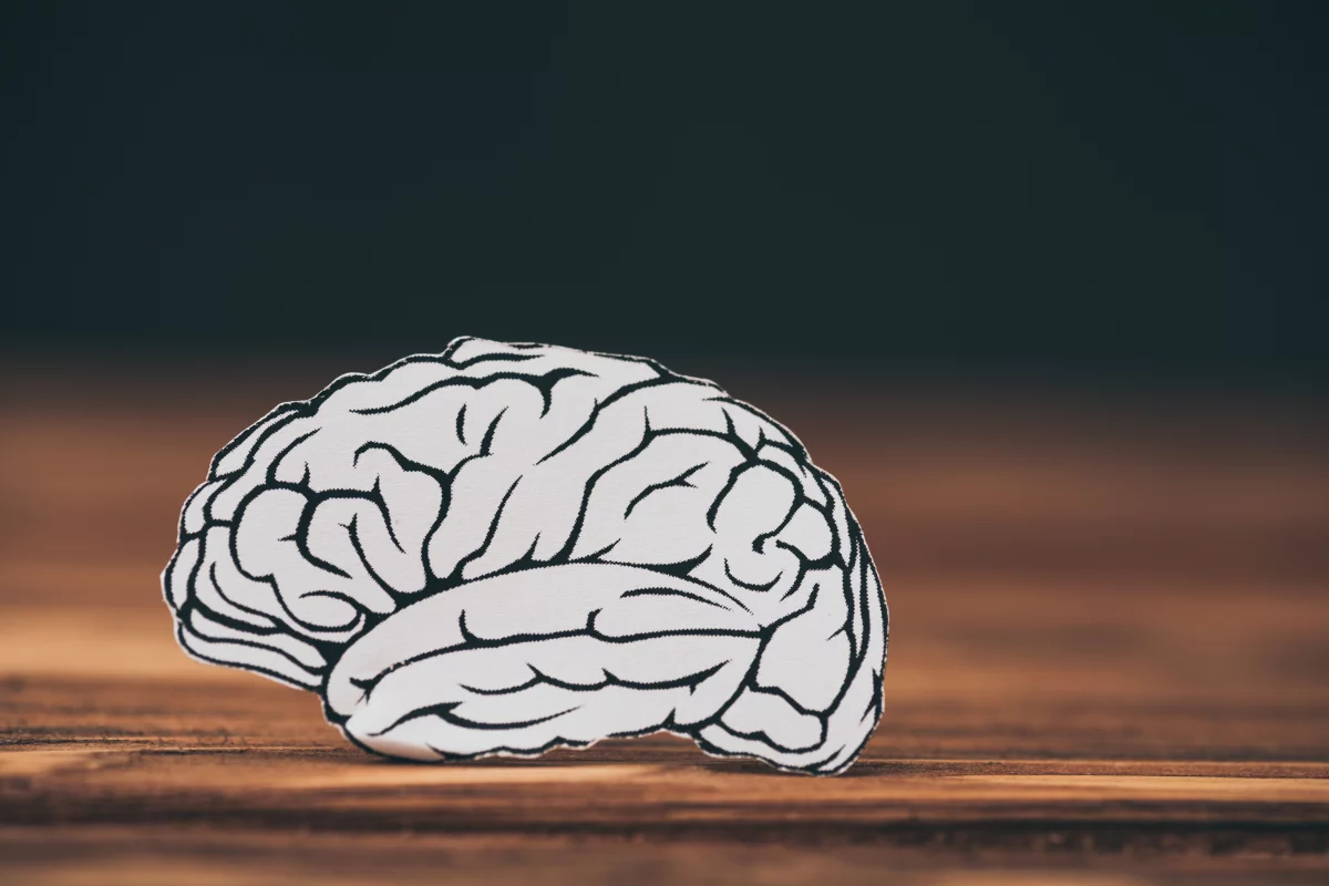 No causal connection has been proven, but evidence is suggesting high brain iron levels may play a role in the cognitive decline associated with Alzheimer's disease