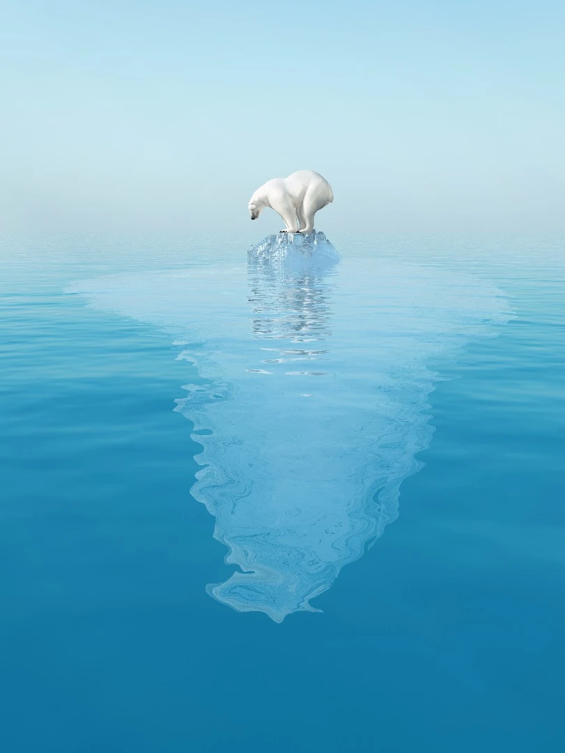 Should we consider bioengineering animals so they are better suited to surviving in the world we're creating?