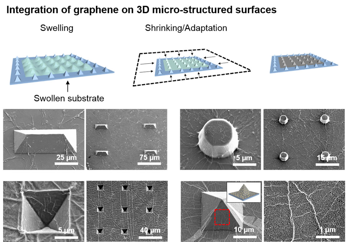 Researchers have discovered a way to produce three-dimensional shapes in graphene, which may lead to a range of superior graphene components being developed to replace standard silicon devices