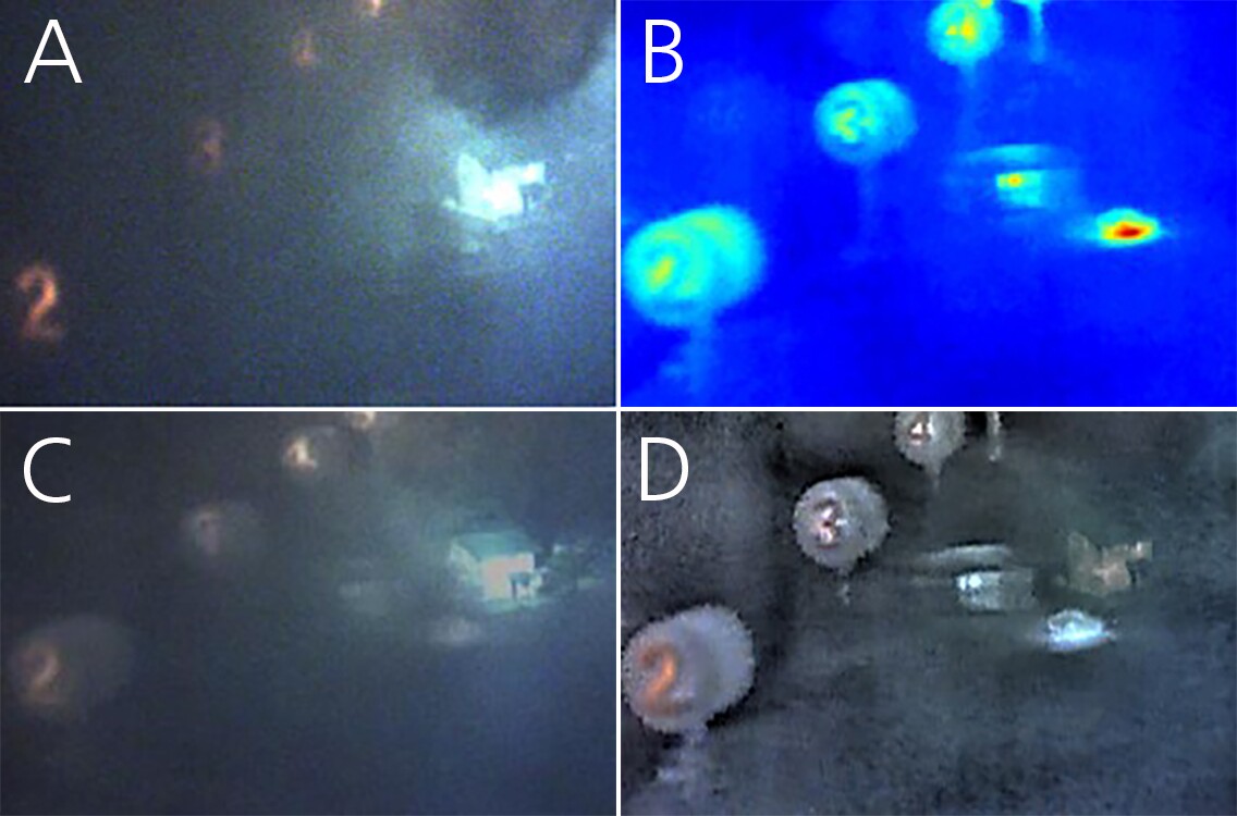 A) A standard image of a visible object B) An infrared image of the same object C) A simple combination of the visible and infrared images without AI D) A combination of the visible and infrared images with AI