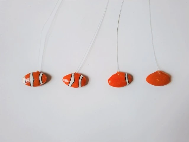 The fake fish used, instead of the real species, to test a clownfish colony's aggression towards strangers of their own kind