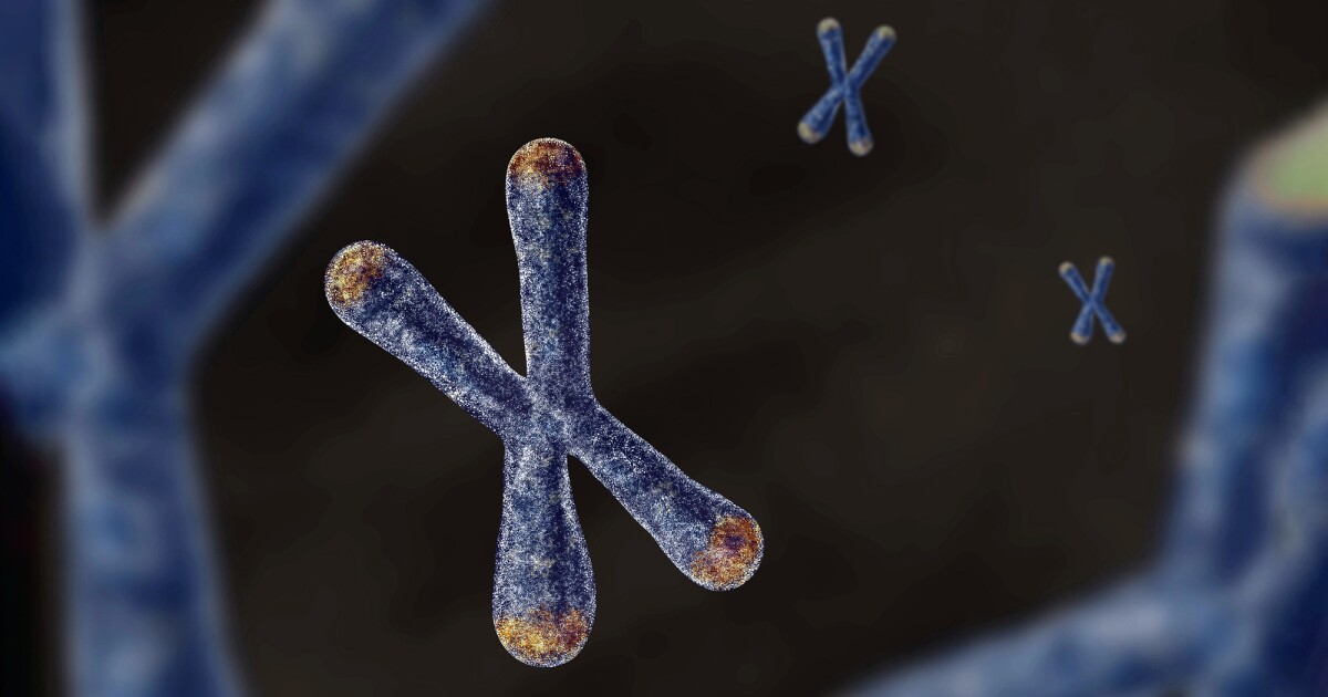 Parental DNA reshapes telomeres, impacts aging and disease Parental DNA reshapes telomeres, impacts aging and disease