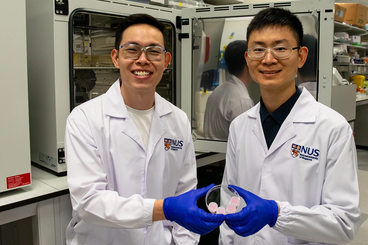 Assistant professor Andy Tay (left) with Dr Le Zhicheng (right), with their extractive microneedles that can help remove inflammatory compounds from chronic wounds