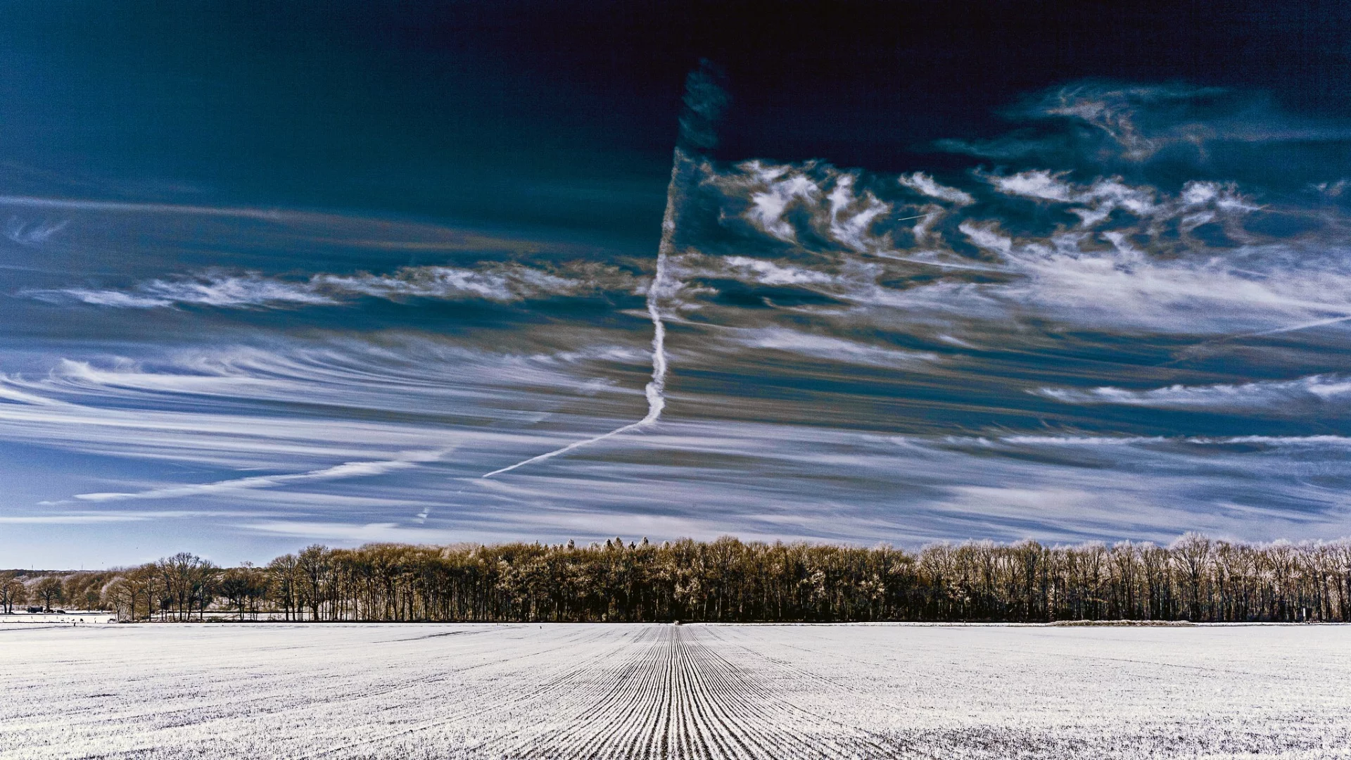 Victor Sassen's infrared photography sits very closely against the visible light spectrum, delivering images that only just tip into infrared wavelengths (Credit: Victor Sassen Flickr / CC BY 2.0)