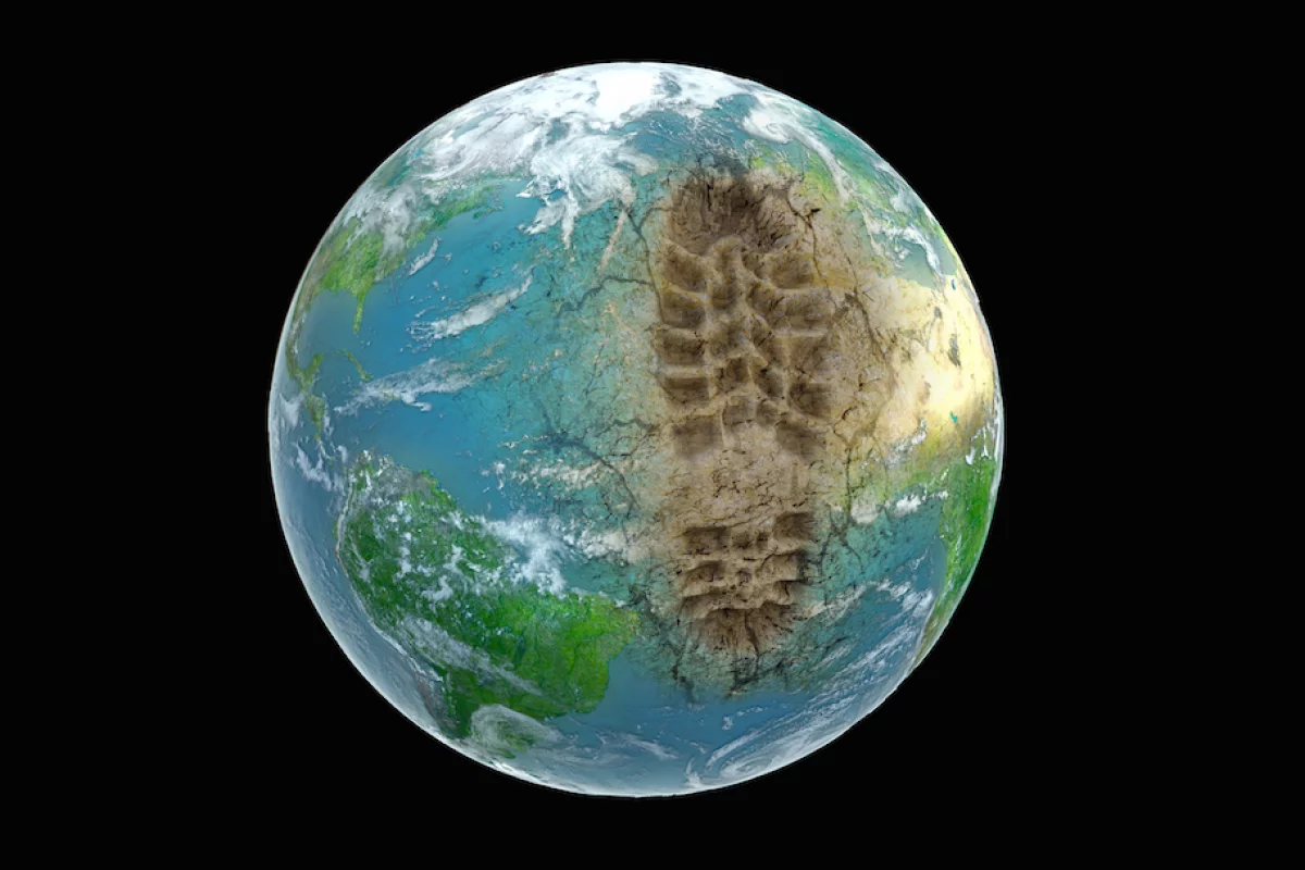 A scientific body has agreed that Earth has entered a new geological epoch - and humans are responsible