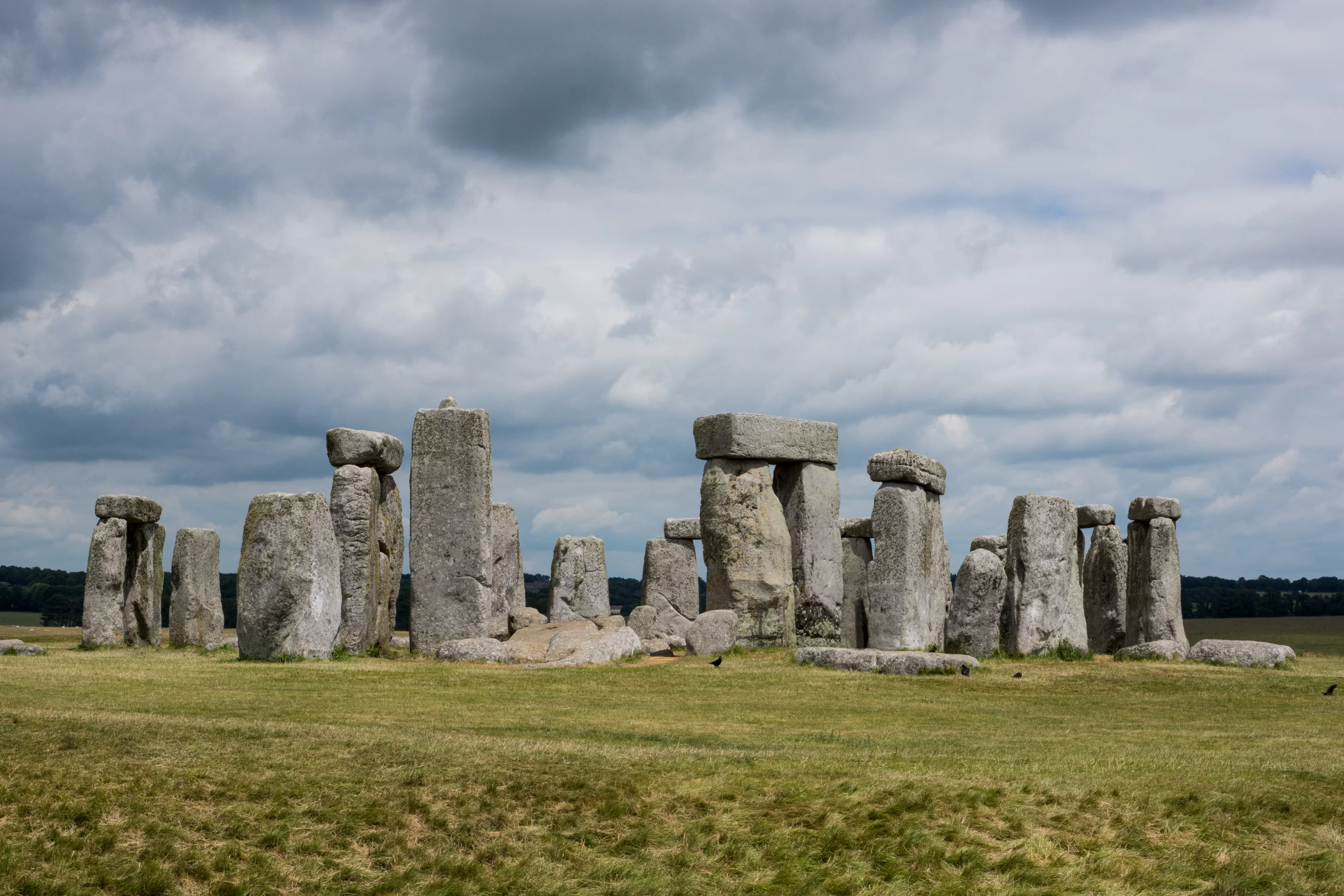 Lard may have greased the skids used to haul the giant megaliths of Stonehenge