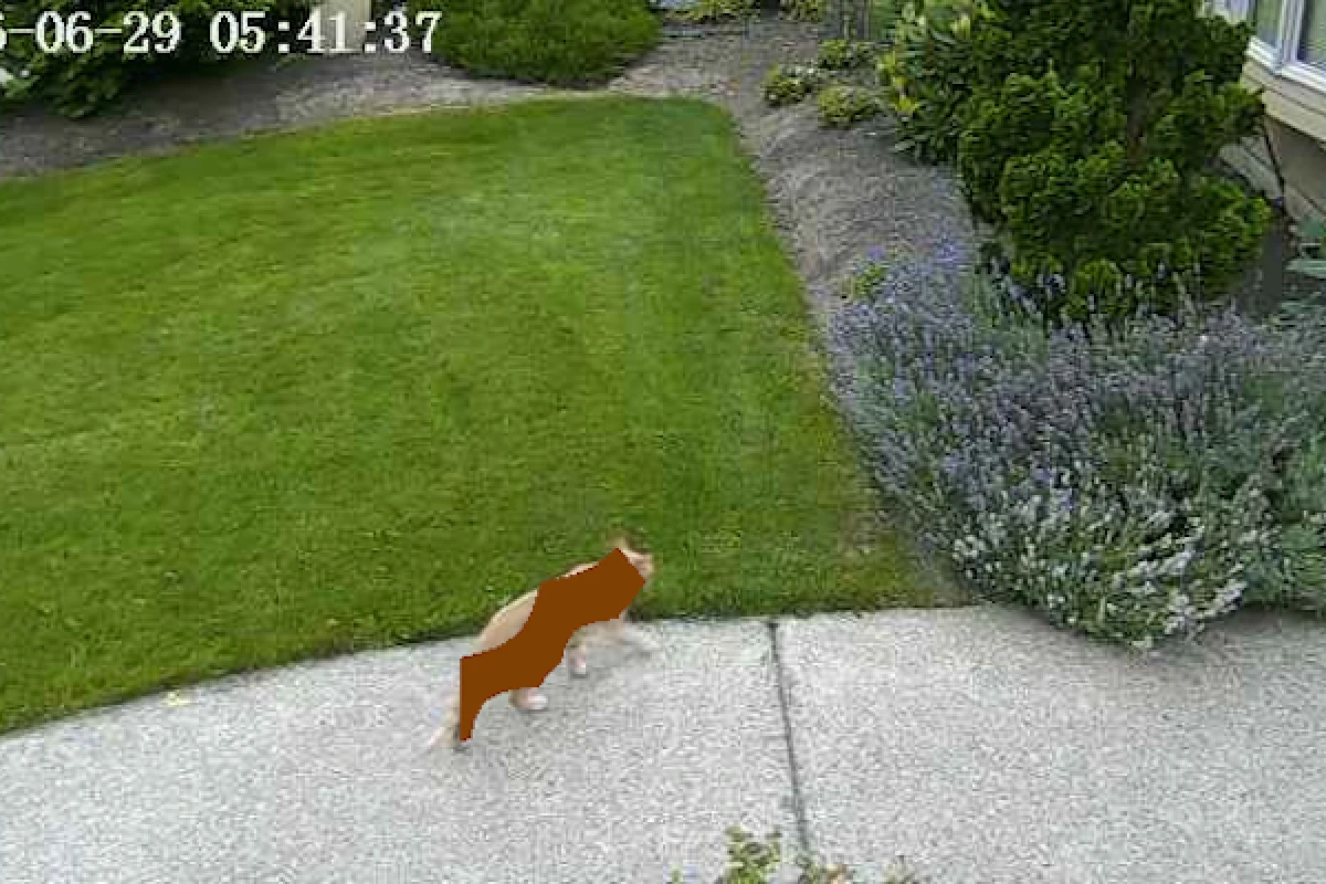 Nvidia engineer Robert Bond has developed a system that detects when the neighbor's cats are in his yard, and turns the sprinklers on to send them packing