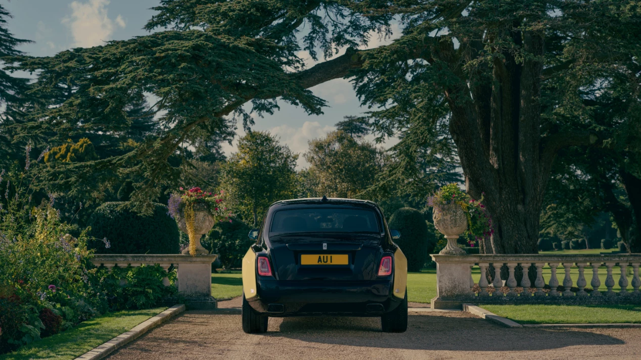 Rear view of the Goldfinger Phantom