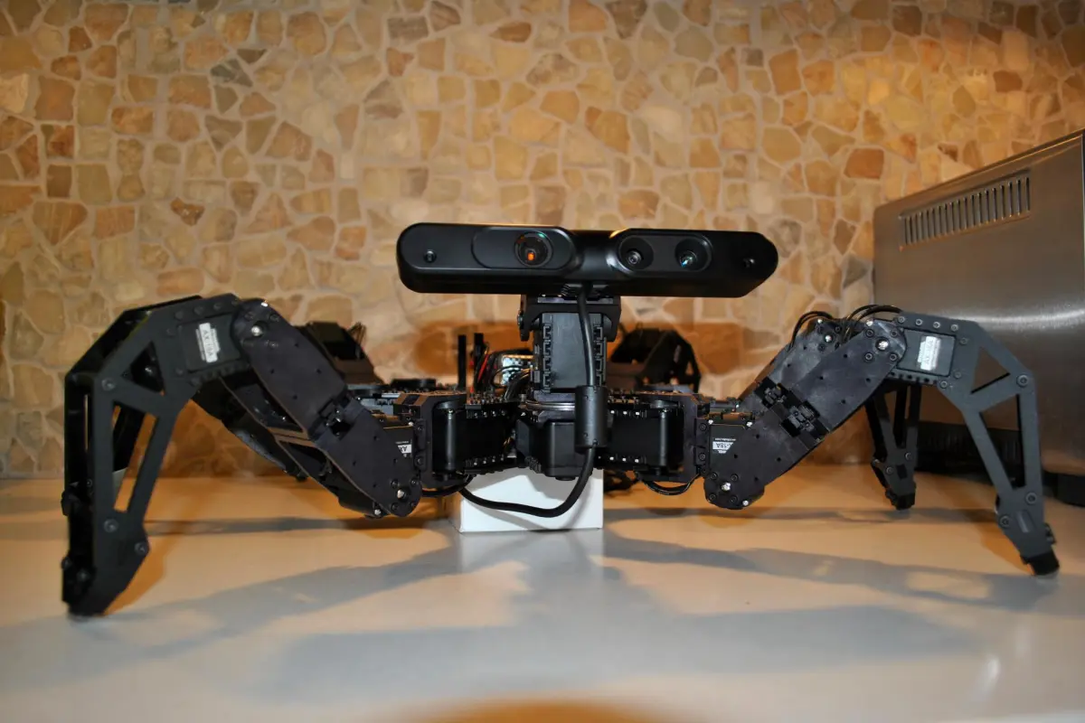 The Charlotte hexapod robot