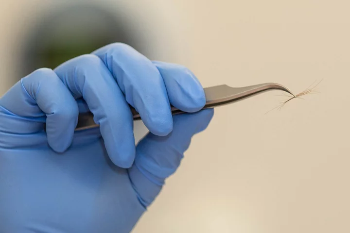 The LLNL team found that a single hair from anywhere on the human body can be used to identify a person