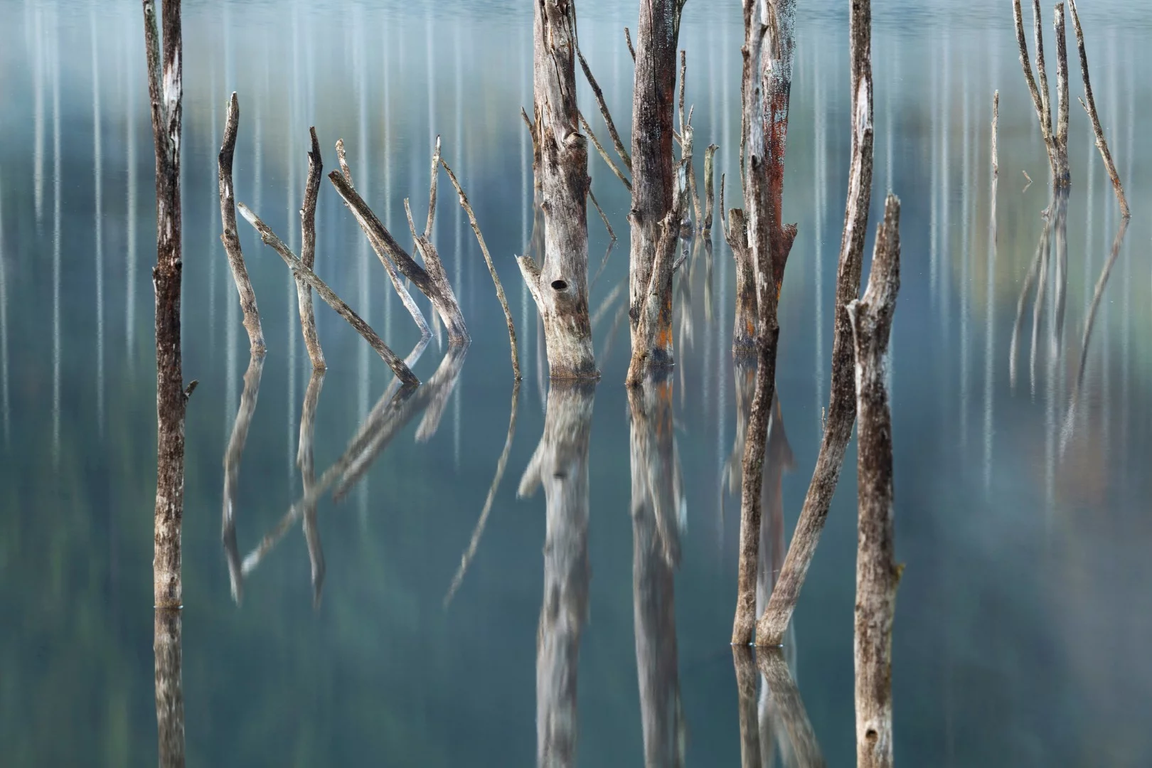 Cuejdel Lake, Romania. From the top 101 entries