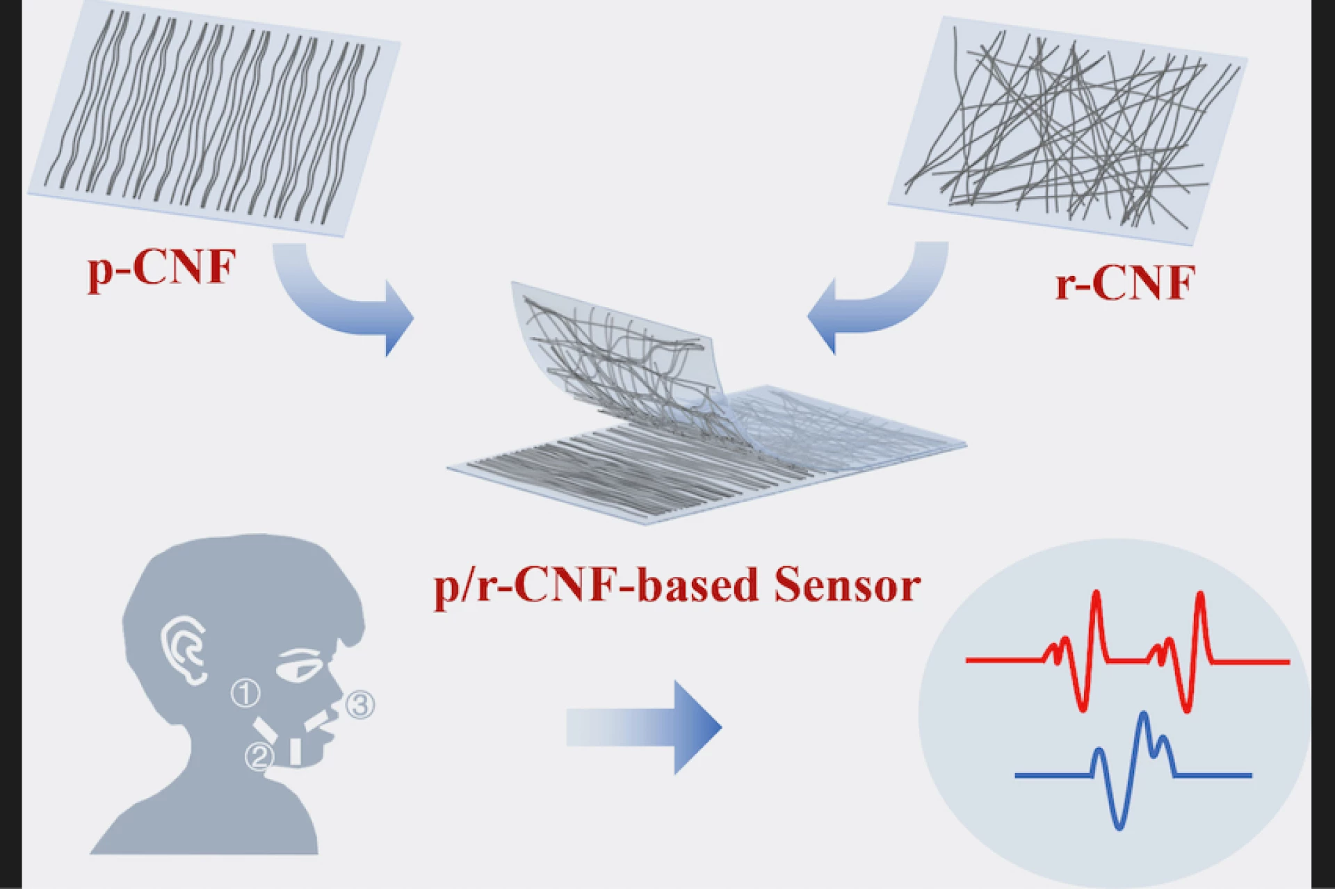 Facial strain sensor could give a voice to the voiceless