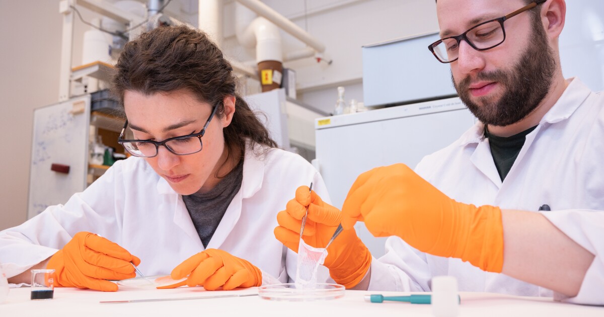 Smart dressing changes color if wounds are infected Smart dressing changes color if wounds are infected