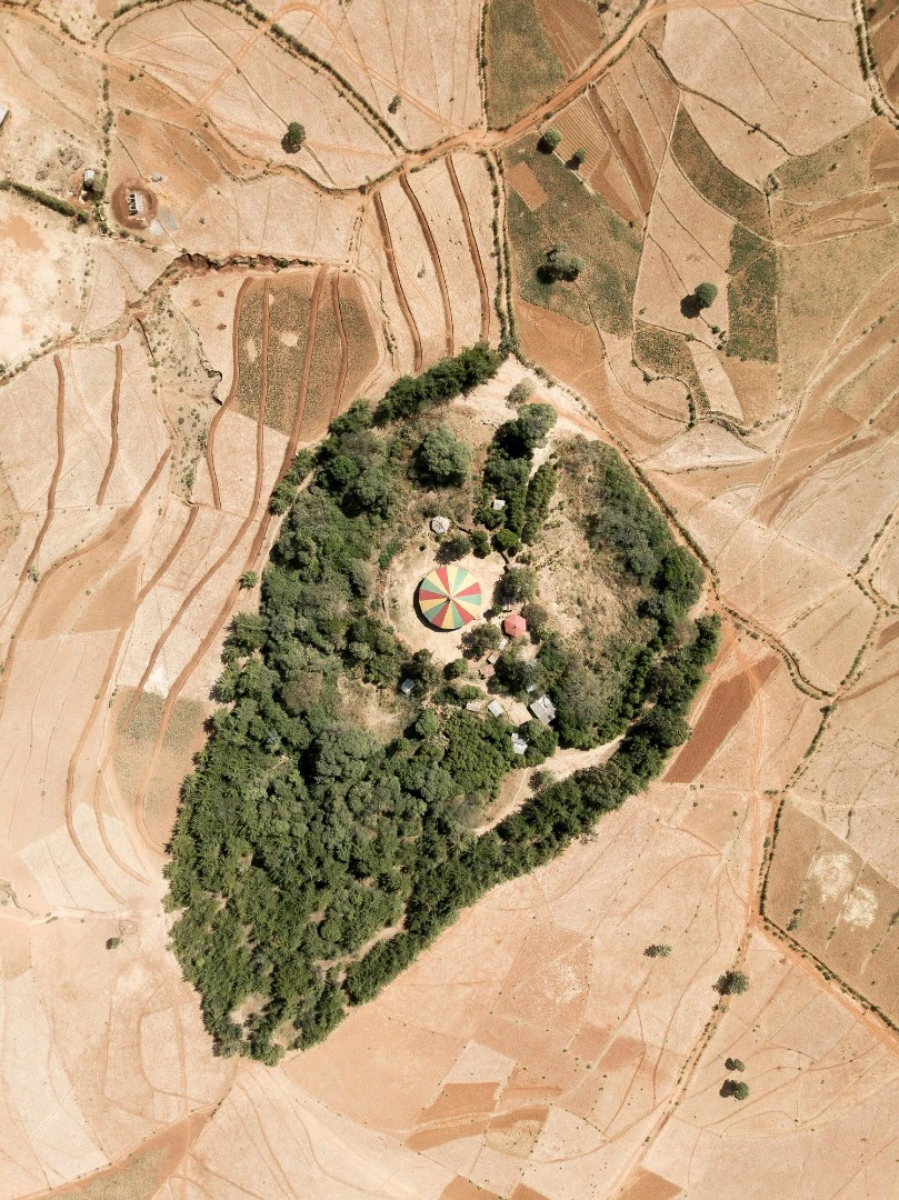 Ethiopia has lost 95 percent of its native forests due to human activity in the last century. What remains surrounds circular Tewahedo Orthodox churches; these ancient canopies are protected as a tenet of faith