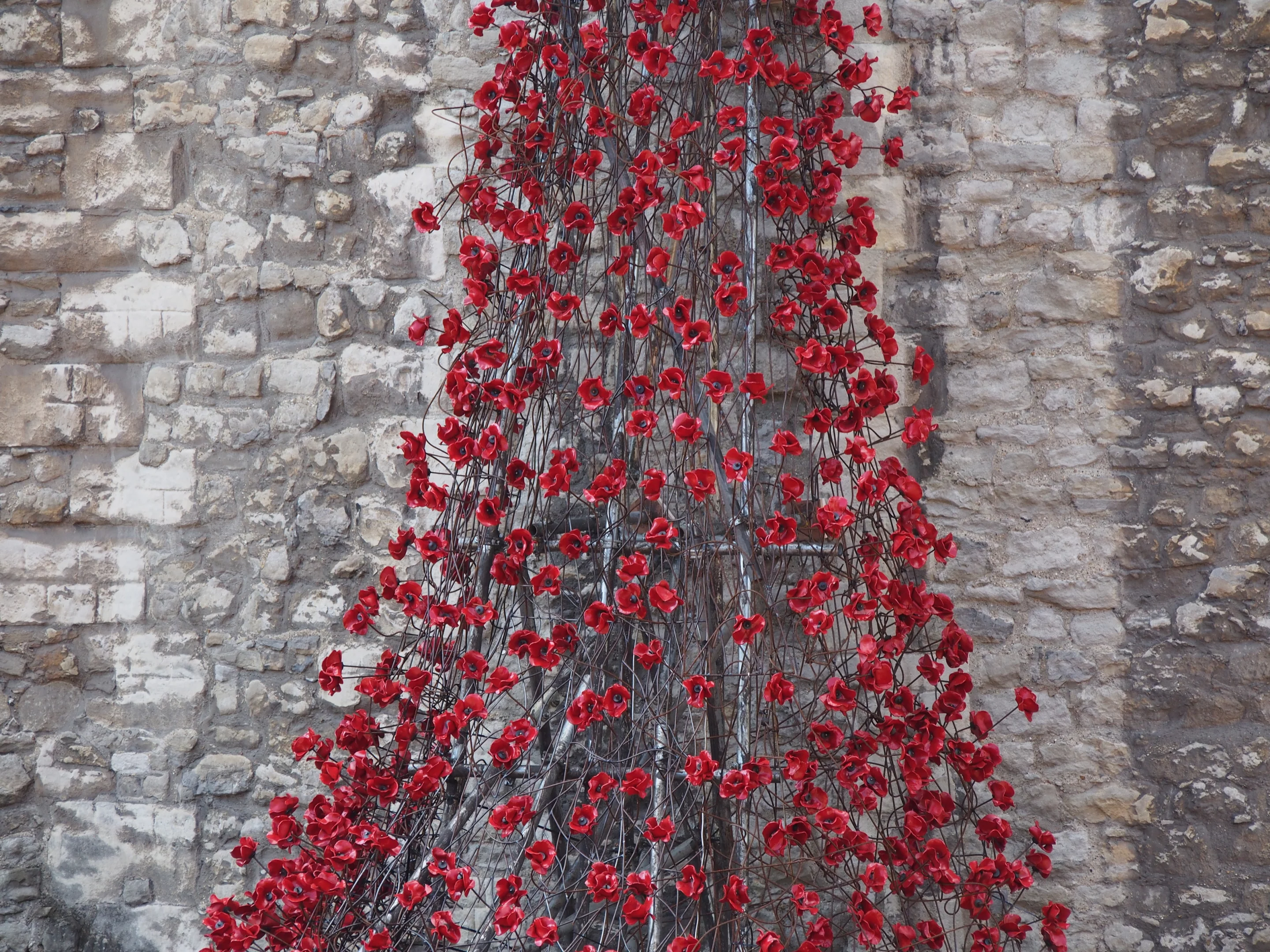 Poppies spilling out of a Tower window (Photo: Adam Williams/Gizmag)