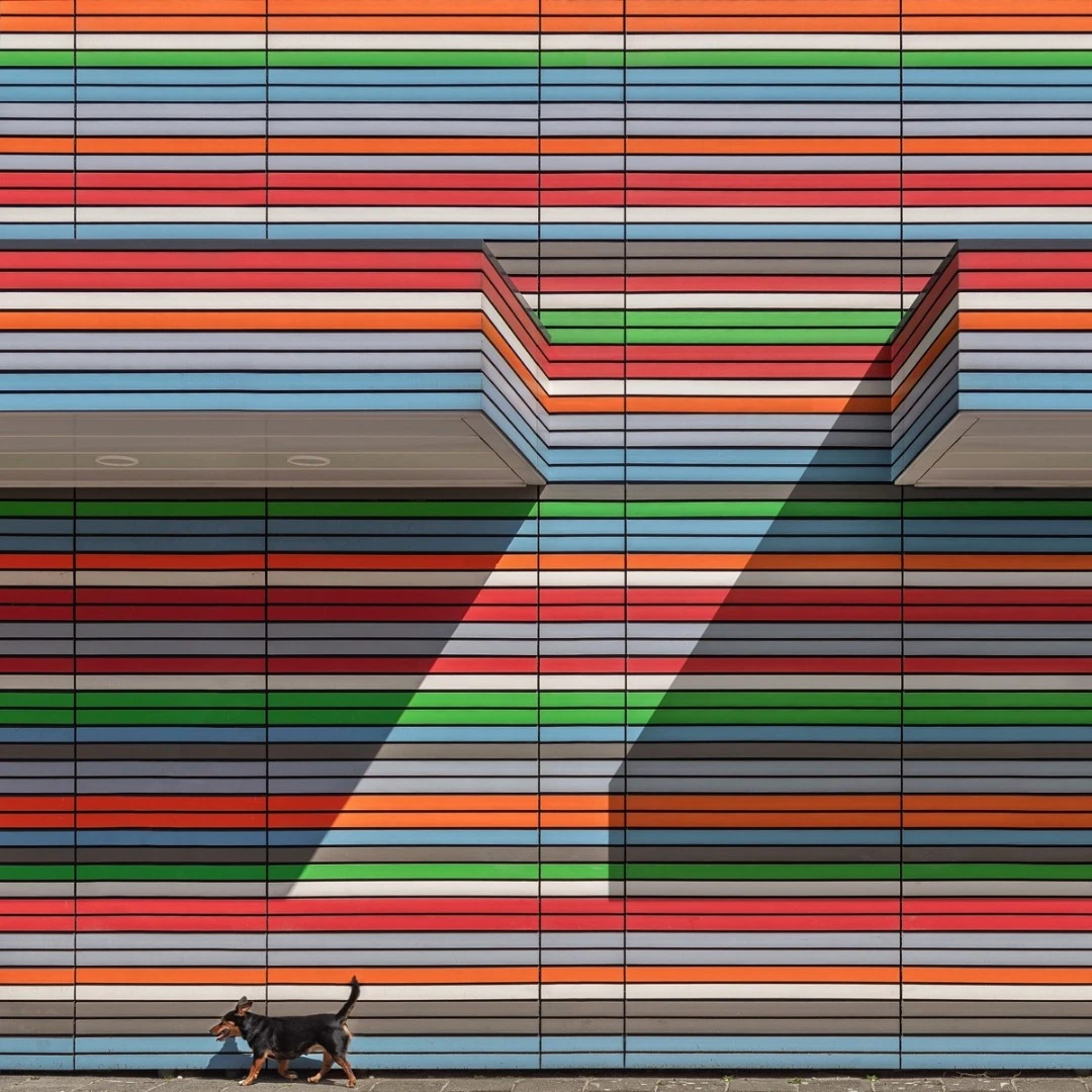 Paul Brouns: Walking the Line - 1st Place in Abstract, Professional