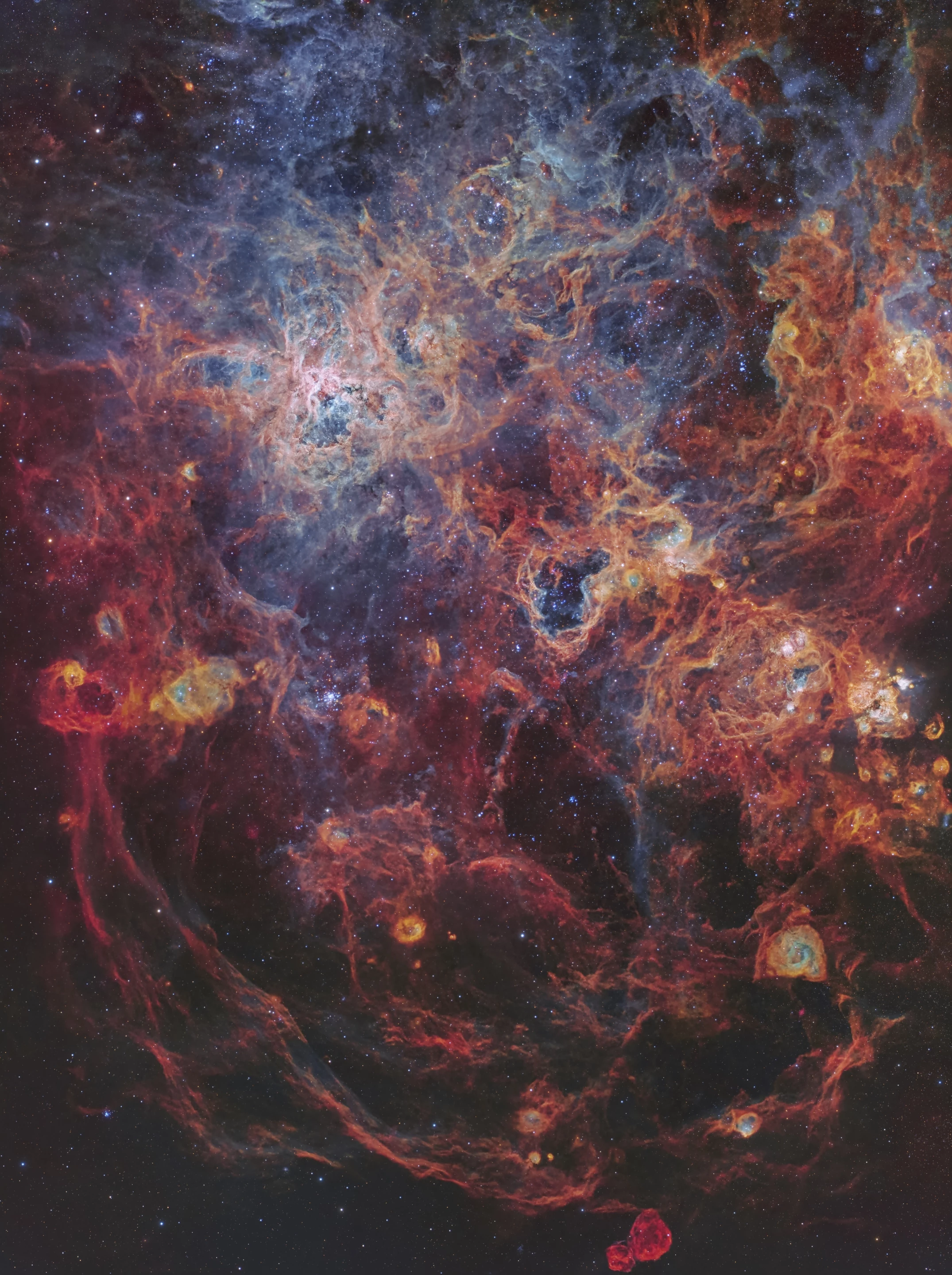 The Majestic Tarantula Nebula by Steeve Body, taken in Victoria, Australia. Shortlisted in the Stars & Nebulae category