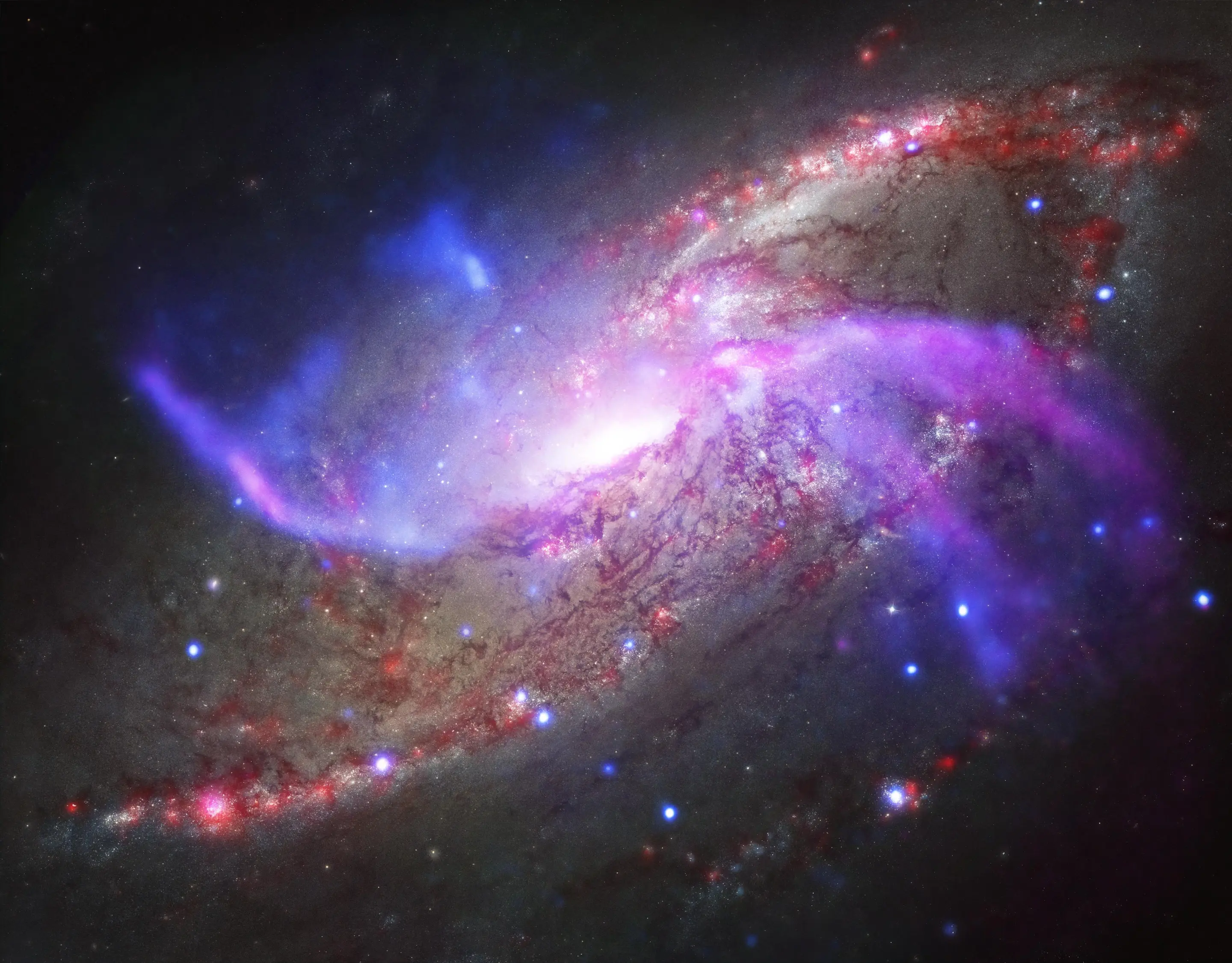 The spiral galaxy NGC 4258 is ejecting gas and high-energy particles in a spectacular display of galactic power (Image: NASA/CXC/JPL-Caltech/STScI/NSF/NRAO/VLA)