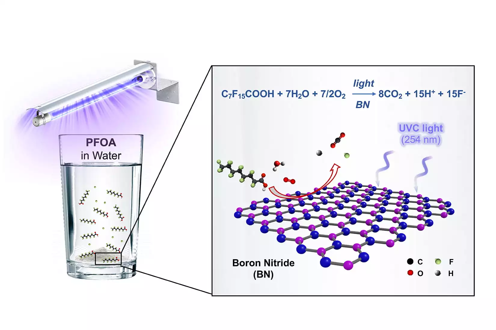 Diagram depicting the process by which a boron nitride catalyst destroys PFOA in a water sample