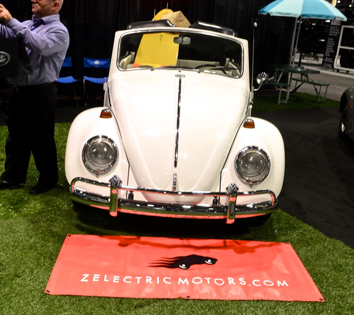ZelectricBug